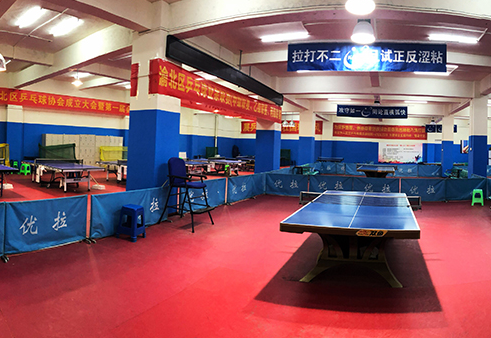 乒乓球训练基地.png
