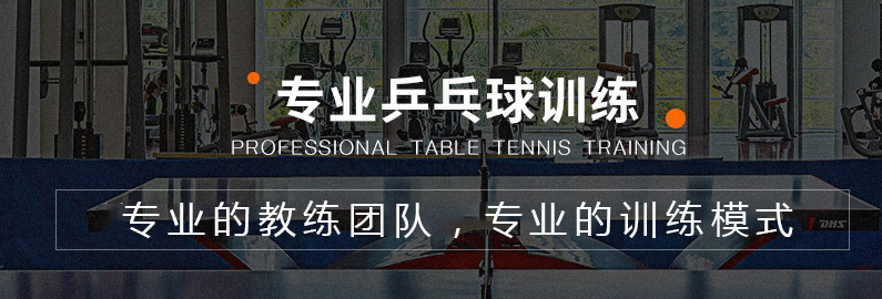 专业乒乓球培训基地.png